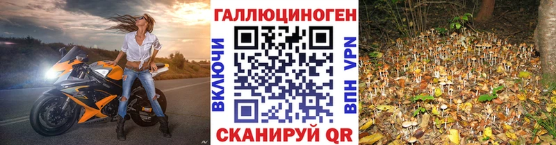 ОМГ ОМГ онион  Темрюк  Галлюциногенные грибы мухоморы 